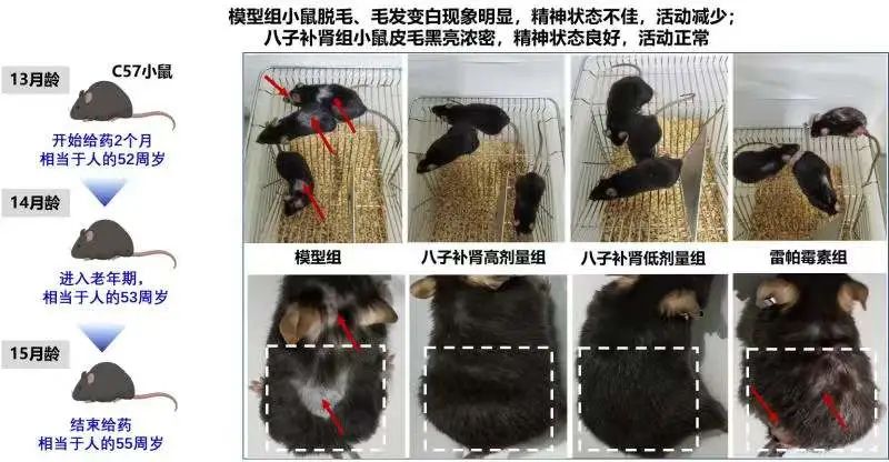 微信图片_20220114112243.jpg 微信图片_20220114112243.jpg